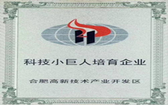 喜讯 摩登7娱乐入选合肥高新区“科技小巨人”培育企业